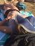 carly m...