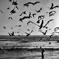 Youssef Lhami