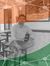 Kapil Dev