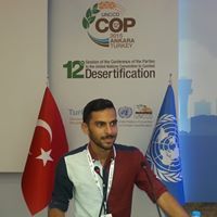 الشاعر محمد