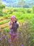 Linh Ng...