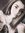 Diana U...