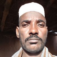 الشامى الجيلى