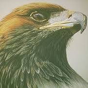 إبراهيم هيثم