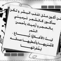 Amr Elmohamady