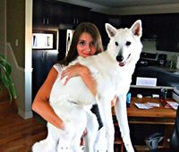 Elise Gauthier-Mayers