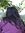 Aastha ...