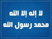Mostafa Mohamed