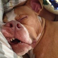 Phạm Quốc Đại