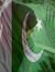 Halima ...