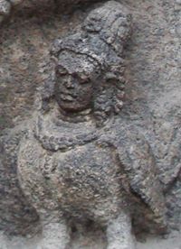 ចរ៉្រទ ត្នោត