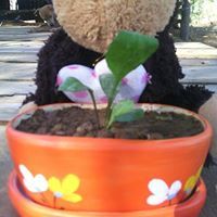 หน่อย จีน