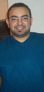 Ahmed L Wasiefy