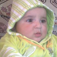 أبو أحمد
