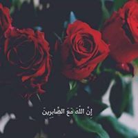 رزان محاميد