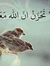 Yasser ...