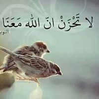 Yasser Matter