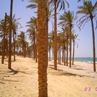 احمد حسين ارحيم