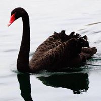 Federica Di Spilimbergo