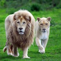 المسلم الموحد