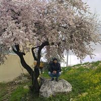 Basel Sanajleh