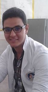 ابراهيم حمدى