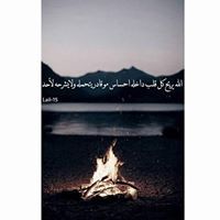 Amany Muhammed