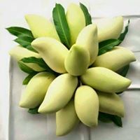 أبوعبدالله محمد