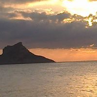 صالحة غرس الله