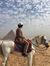 Ahmed M...