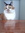 Kitty Cat