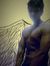 Salek A...