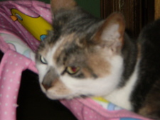 Walter
