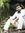 Renjith...