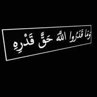 محمد بني حمدان