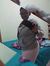 Khadish...