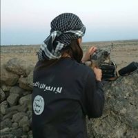 دولاوي قرقس