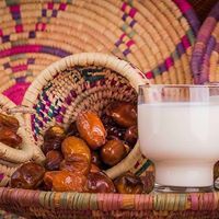 مصطفى سالم