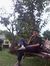 Katon B...