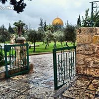 ترآتيل المطر