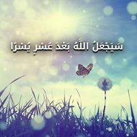 Noran Bd