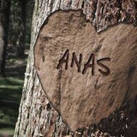 Om Anas