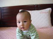 Ngan Thanh