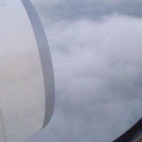 ผึ้ง น้อย