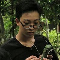 Hòa Nguyễn Viết