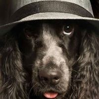 Николета Балабанска