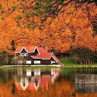 أبويوسف محمود