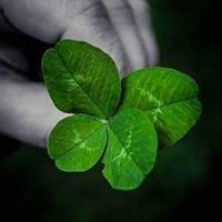 Вики Петрова