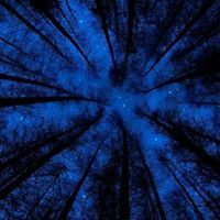 Edilberto Gonzalez F