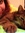 Rike